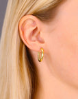 14k Yellow Gold Textured Hoop Earrings, The Alligator Collection