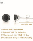 14K White Gold Black Onyx CZ Studs, Pushback