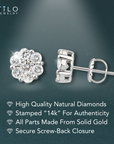 14K White Gold Diamond Cluster Stud Earring with Screw-Back, 0.25 carats